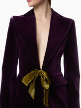 Load image into Gallery viewer, Purple Velvet Tailored Blazer - Nina Ricci
