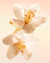 Load image into Gallery viewer, Two pale cream plumeria flowers with orange-yellow centers and water droplets, set against a soft peach gradient background.
