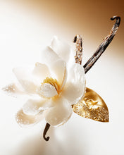 Load image into Gallery viewer, Vénus De Nina Ricci Édition Or Nacrée
