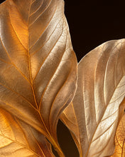 Load image into Gallery viewer, Vénus De Nina Ricci
